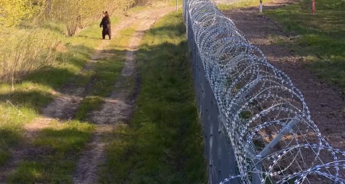 "Мишаня" патрулирует литовско-белорусскую границу