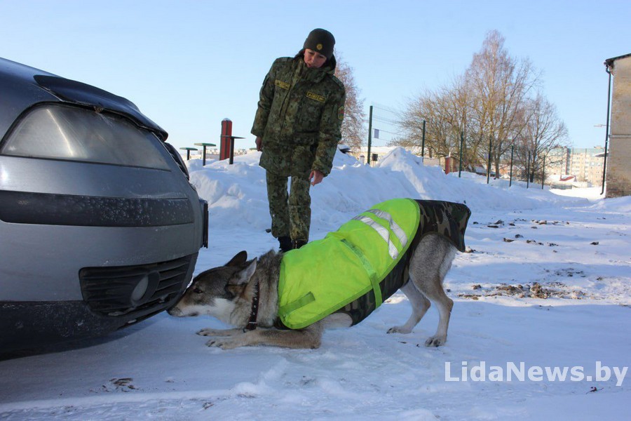 Старший инспектор отделения службы собак Лидского погранотряда Ольга Островская.