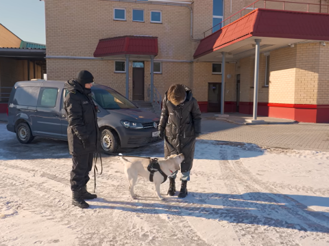 Рентген для авто, тайники и собака Фрея — один день на белорусской границе