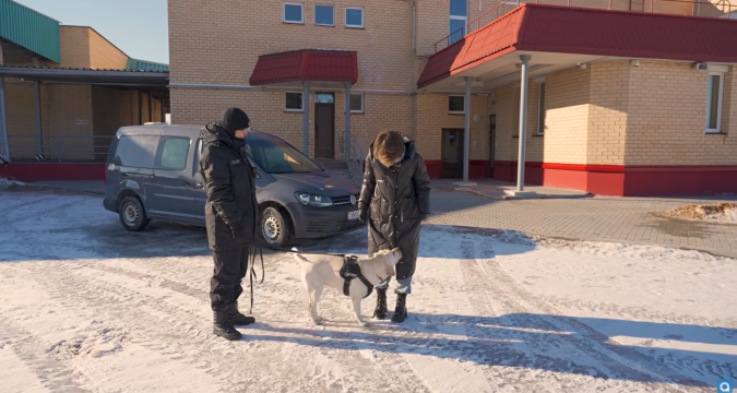 Рентген для авто, тайники и собака Фрея — один день на белорусской границе