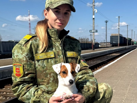 От программиста до кинолога: история сержанта Алины Колбик, которая выбрала службу с сердцем