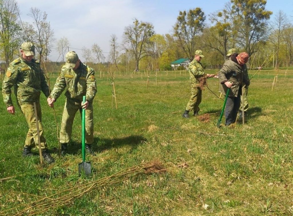 Пограничники сделали парк «Нижне-Теребежовский» зеленее